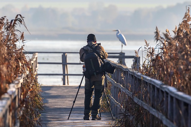 man taking photo of egret