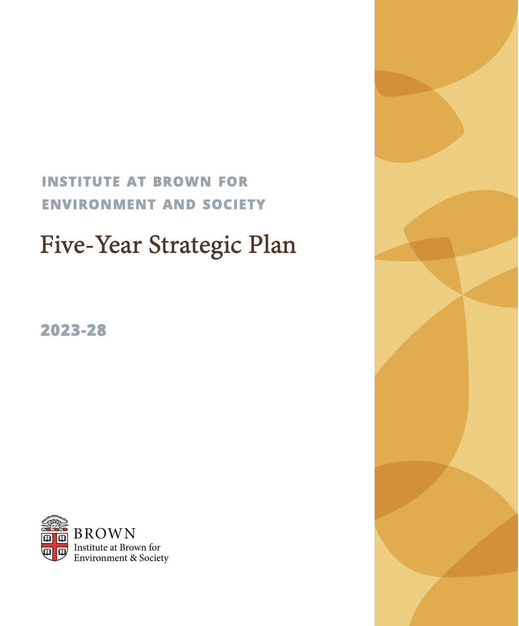 IBES Strategic Plan
