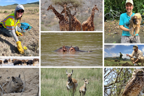 Kartzinel Lab Feature-IBES