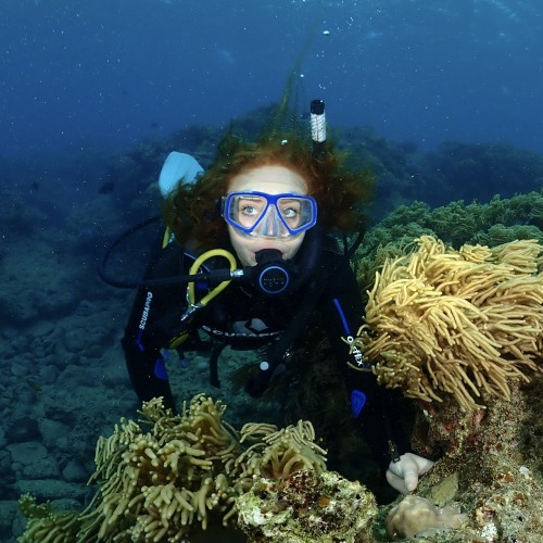 Alexie scuba diving