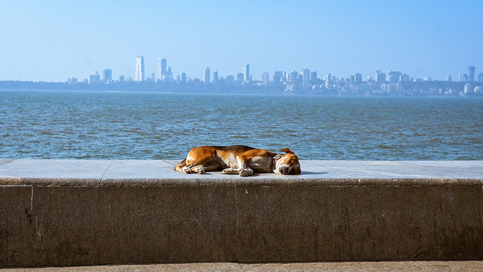 Mumbai, India