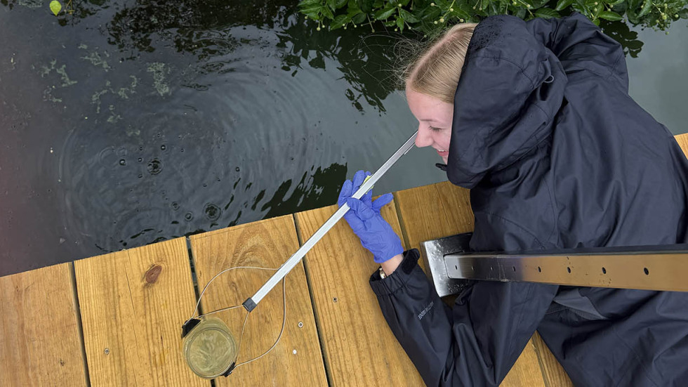 Lily collecting water samples