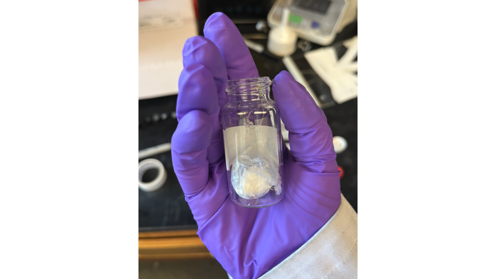 Polymer sample