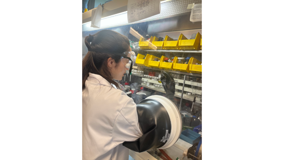 Johnson working in the lab