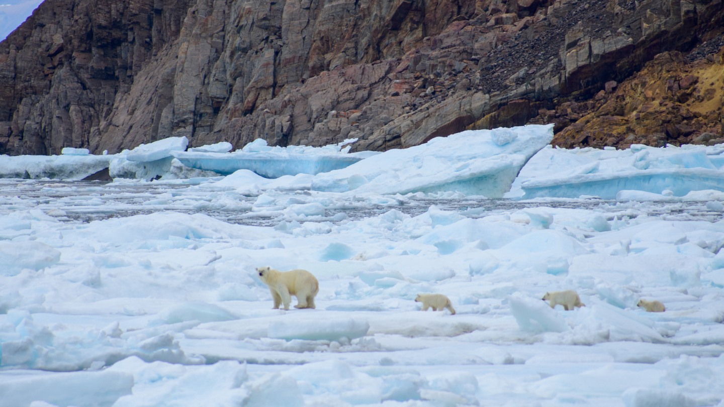 News And Events | Institute At Brown For Environment And Society ...