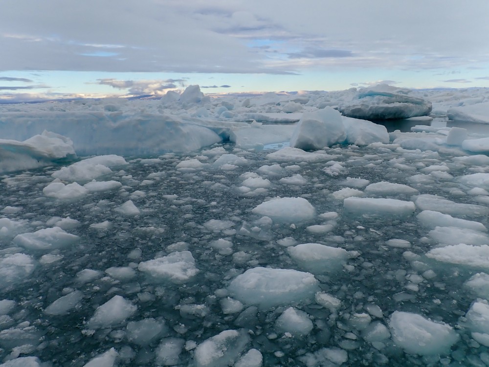 Chunks of sea ice