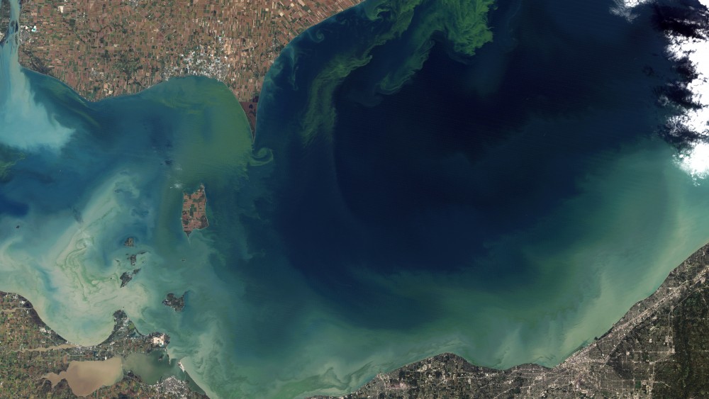 Toxic Algae Bloom in Lake Erie