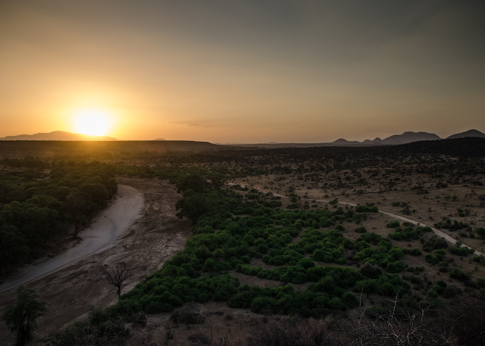 Kenyan savanna