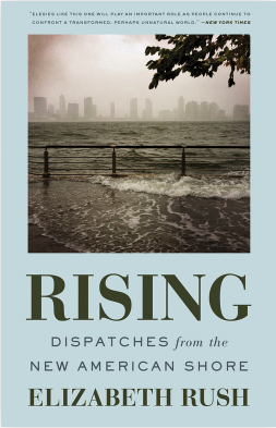 Rising: Dispatches From the New American Shore