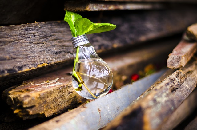 Plant in Lightbulb