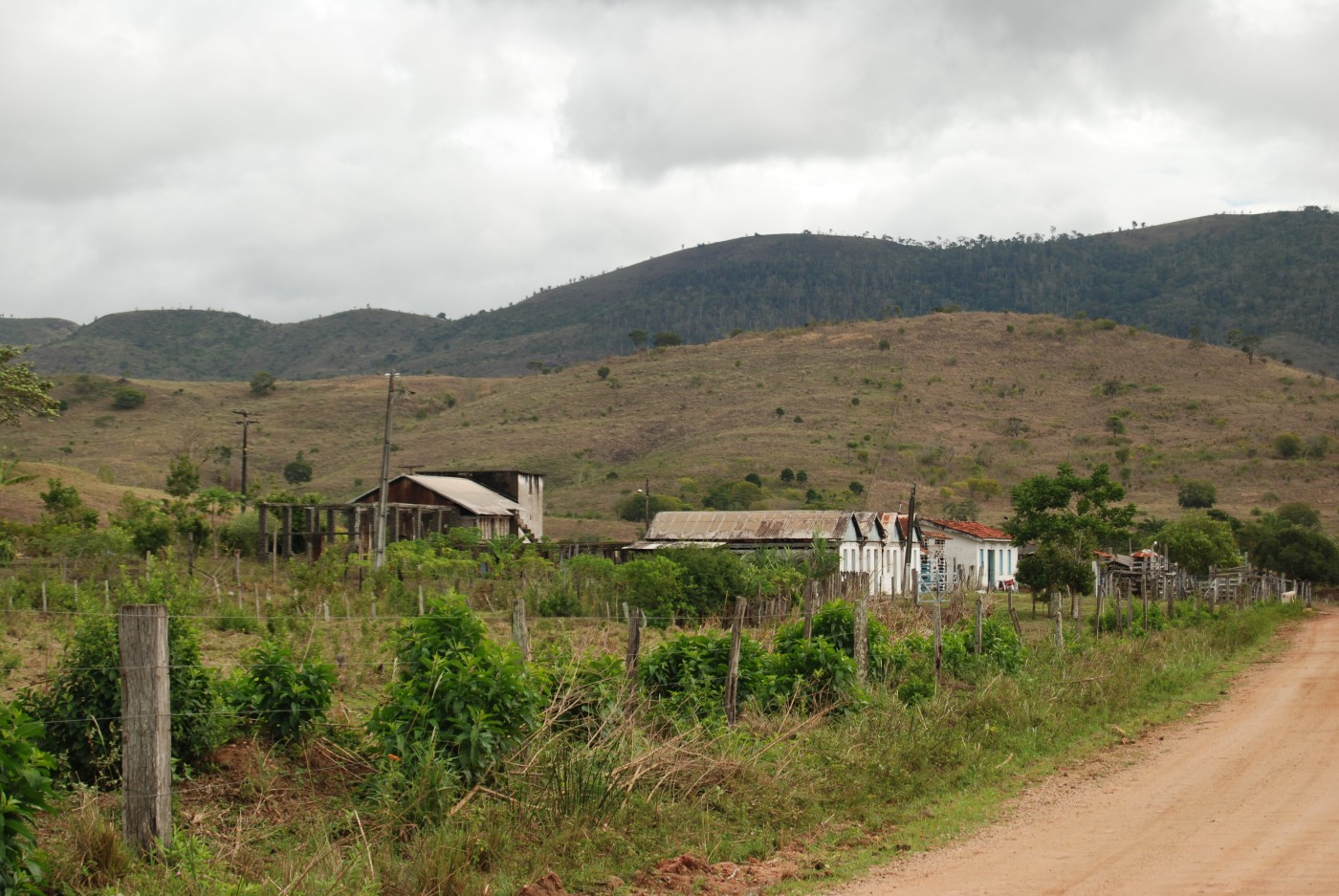 drying houses for cacao